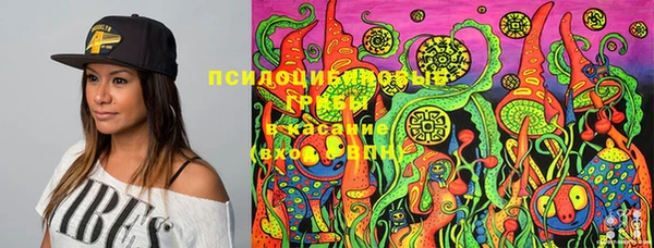прущие грибы Алексеевка
