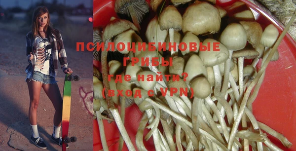 метадон Алексин