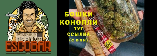 прущие грибы Алексеевка