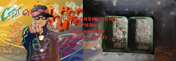 ПСИЛОЦИБИНОВЫЕ ГРИБЫ Алзамай